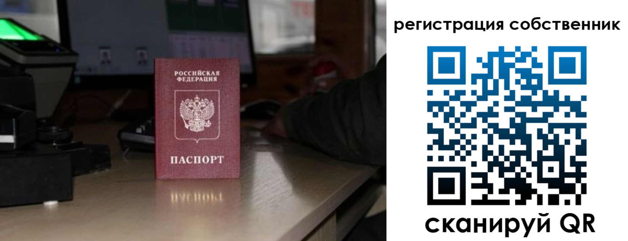 прописка поиск в Щёкино